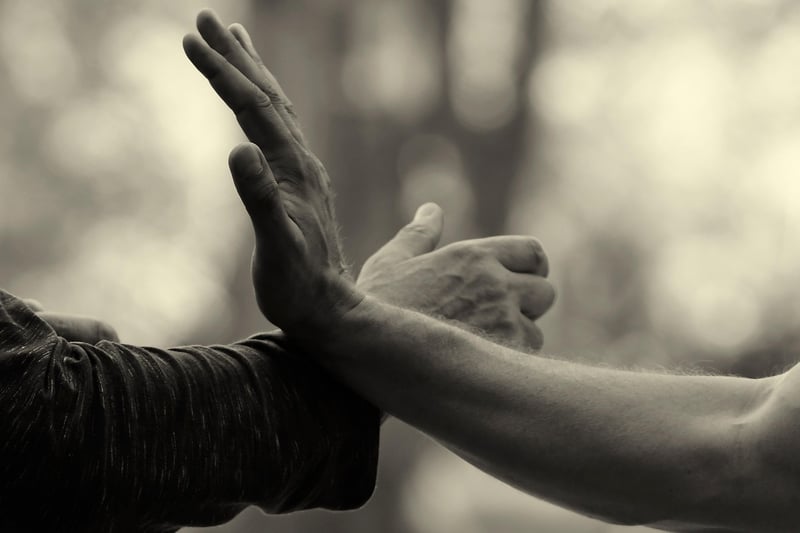 Chen Style Tai Chi